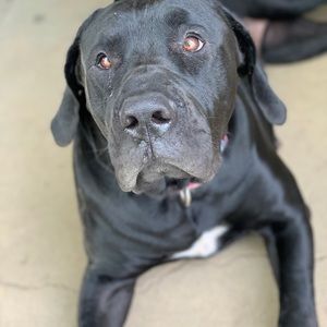 Meet your Posher, Kiyonce